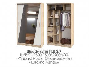 шкаф-купе ПШ-2.9 1500 Норд Белый жемчуг 1500 в Ноябрьске - noyabrsk.magazin-mebel74.ru | фото