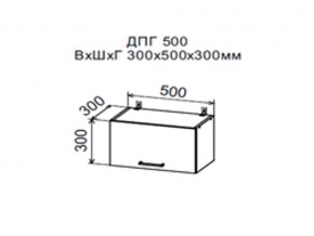 Шкаф верхний ДПГ500 горизонтальный в Ноябрьске - noyabrsk.magazin-mebel74.ru | фото