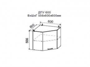Шкаф верхний ДПУ600 угловой в Ноябрьске - noyabrsk.magazin-mebel74.ru | фото